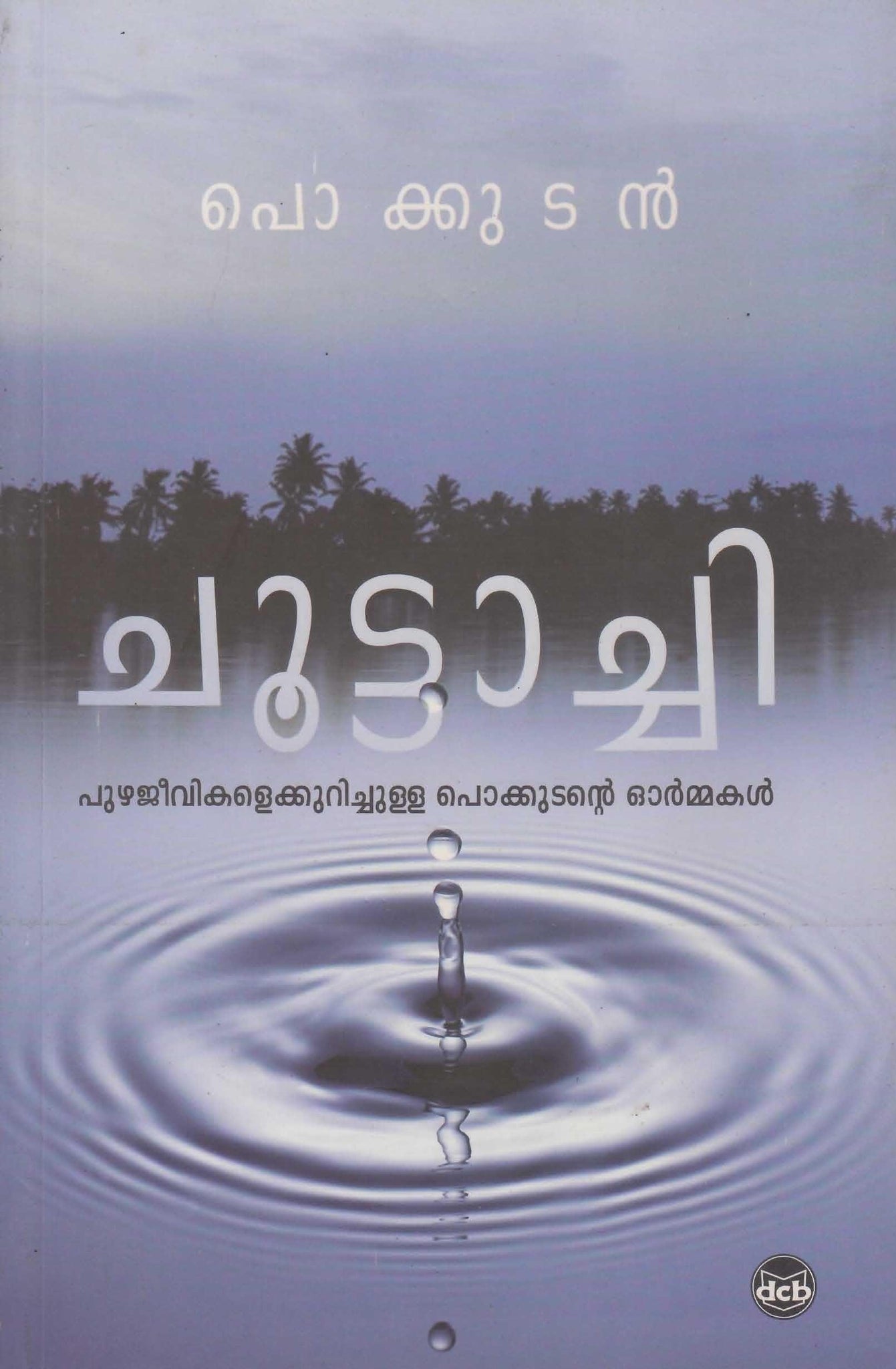 CHOOTTACHI - TheBookAddicts