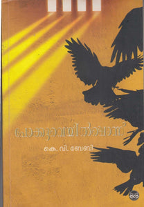 POKKUVEYILPPONNU - TheBookAddicts