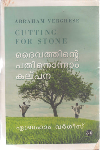 DAIVATHINTE PATHINONNAM KALPANA BY ABRAHAM VERGHESE - TheBookAddicts