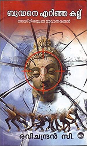 Buddhane Erinja Kallu (Bhagavadgeethayude Bhavantharangal) - TheBookAddicts
