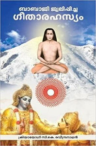 BABAJI JWALIPPICHA GEETHARAHASYAM - TheBookAddicts